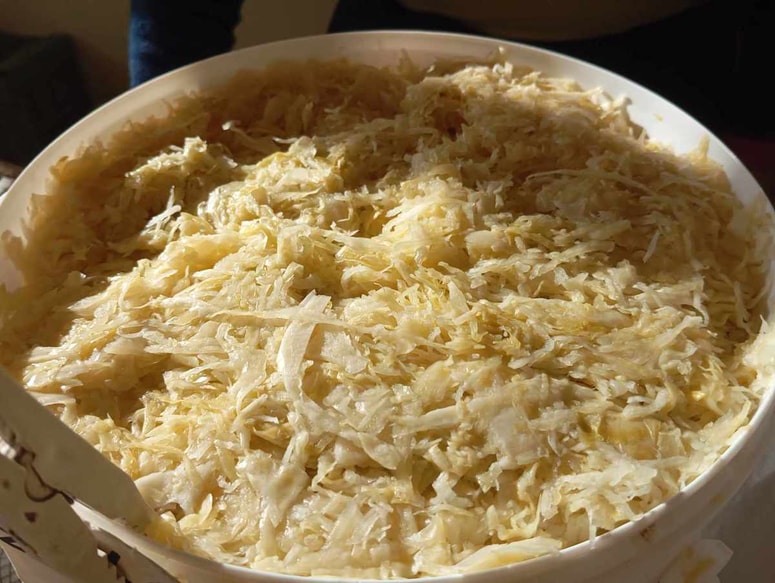 Na tržnici je že zadišalo po jeseni - prve serije svežega kislega zelja so že pripravljene. 