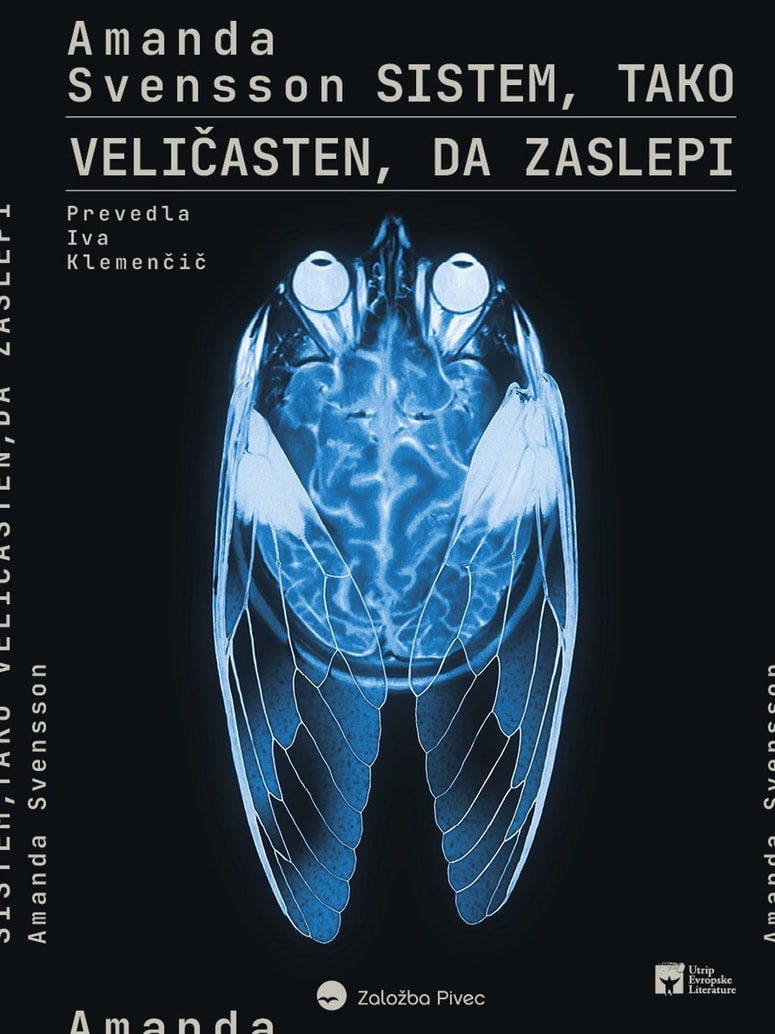 Roman Sistem, tako veličasten, da zaslepi švedske avtorice Amande Svensson je prevedla Iva Klemenčič. 