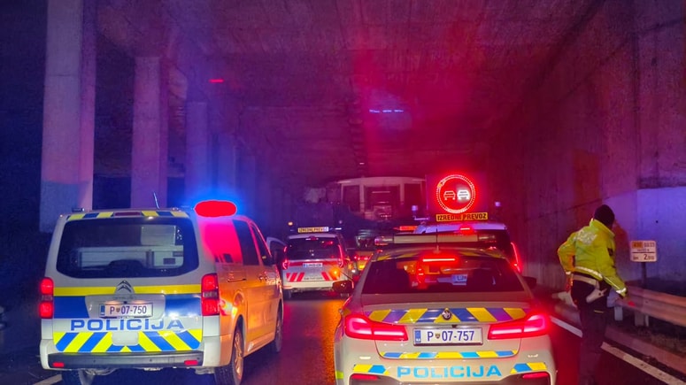 Dravska vila je dolga 22 metrov, široka pa šest metrov. Odpeljali naj bi jo do Vukovarja.