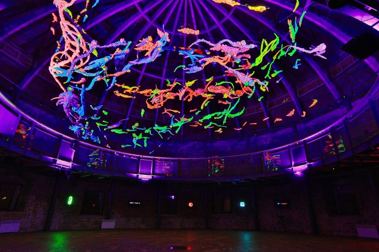 S fluorescentno svetlobo in glasbo se obiskovalec potopi v poseben čarobni svet. 