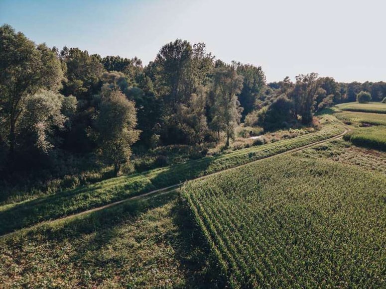 Župani so izrazili številne pomisleke nad predlaganim projektom izgradnje kolesarske steze na novih nasipih ob reki Muri. 