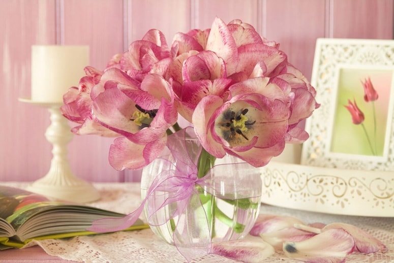 Glavna fotografija članka:Pomlad vedno pride: Bonbon vas odslej čaka v simpatično osveženi in obogateni podobi