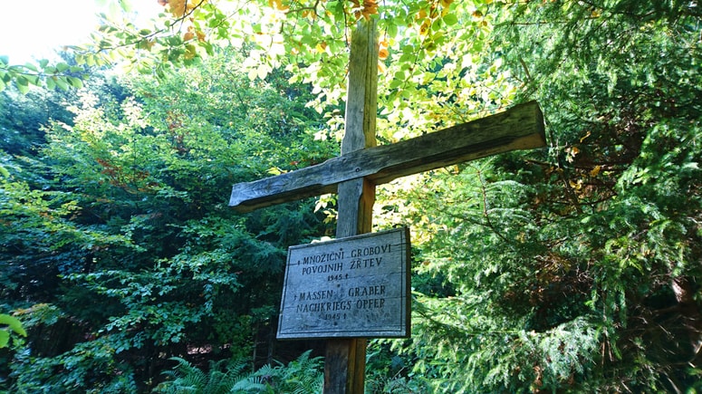 Fotografija je simbolična.