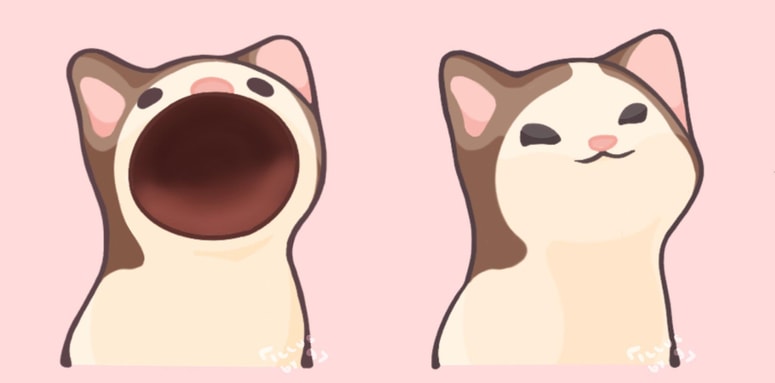 Glavna fotografija članka:Popcat za + 41 % v enem tednu – Bo Novi Pepe dosegel 1200 % v letu 2025?