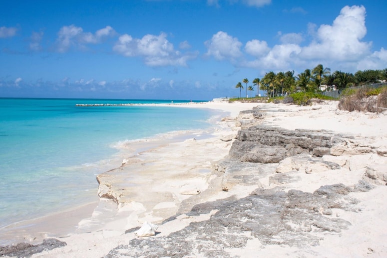 Glavna fotografija članka:Morski pes turistki odgriznil obe roki