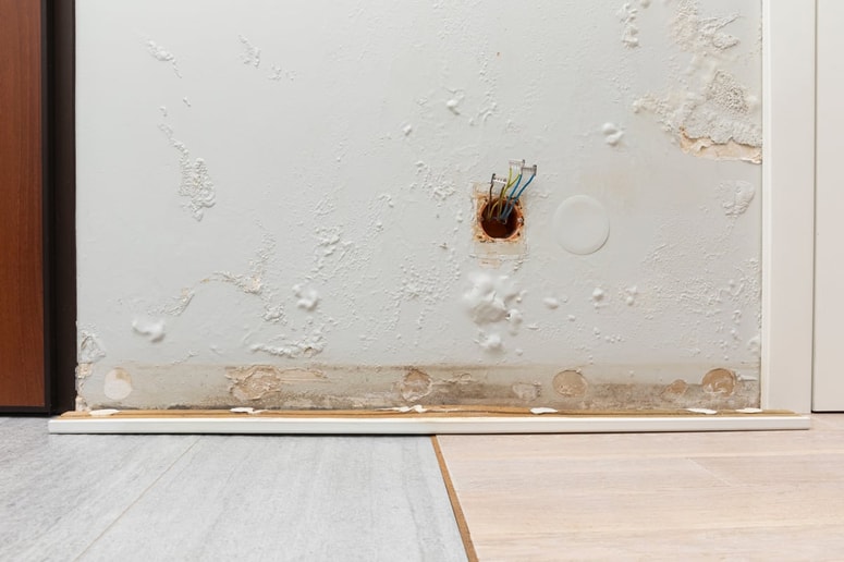 Potem ko objekt zaščitimo s toplotnoizolacijsko oblogo, je treba površine, na katerih se pojavlja plesen, očistiti, sicer se pod oblogo na notranji strani lahko pojavi gnitje.