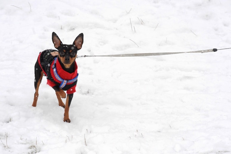 Fotografija je ilustrativna. 