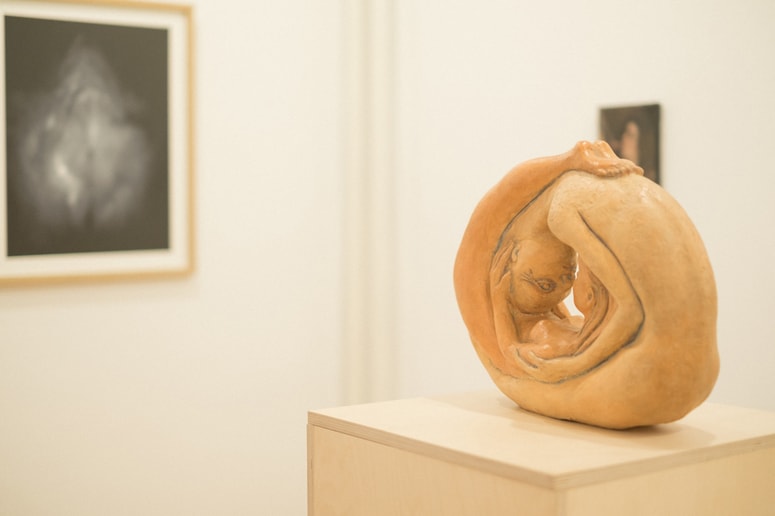 Razstava Plameni hrepenenja  bo odprta do 5. aprila. 