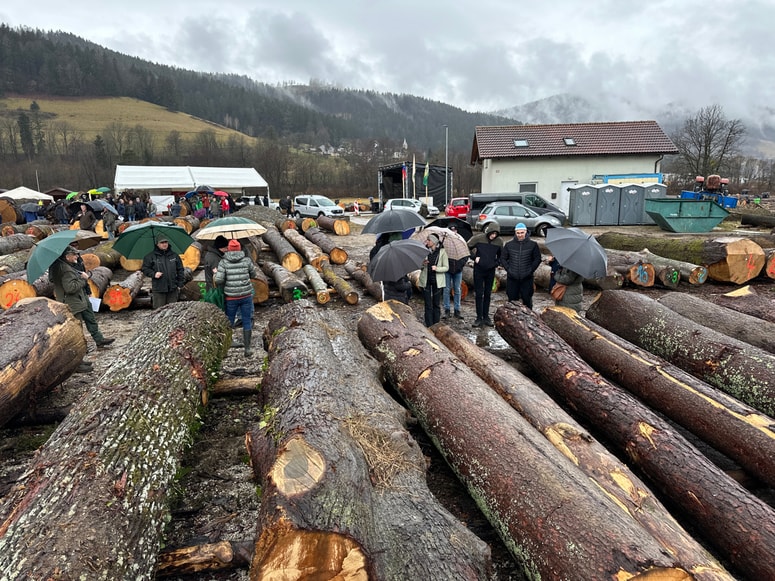 Glavna fotografija članka:(KOMENTAR) Lesne perspektive in absurdi