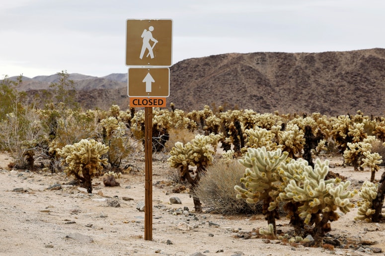 Glavna fotografija članka:(REKLI SO) Miha Blažič N'Toko: Diktat tehnološkega razvoja