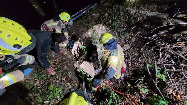 Reševanje konja Malina iz ozkega brezna je bilo sprva videti kot misija nemogoče. 