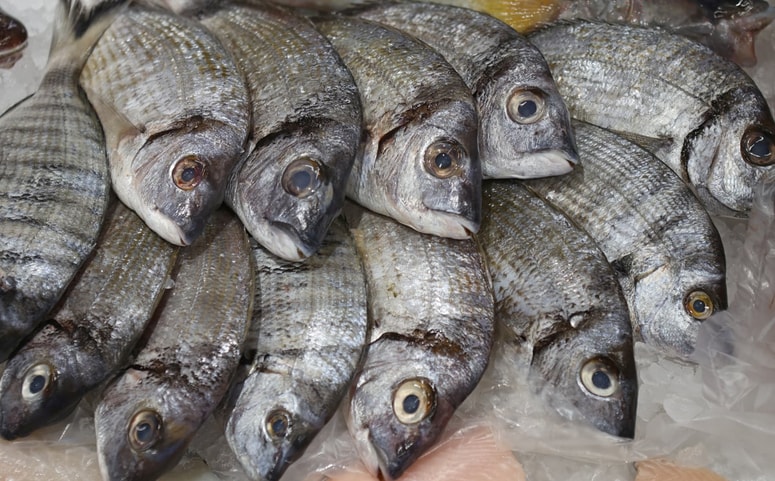 Preberite, v katerih primerih so zmrzjene ribe bolj zdrave od svežih. 