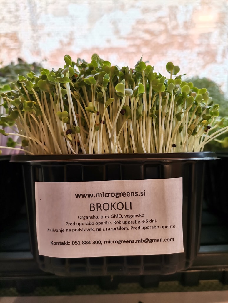 Mikrozelenjava niso bolj znani kalčki, kot bi morda kdo pomislil, pač pa mlade rastlinice, ki so lahko vrtnine, poljščine, zelišča ali katere druge divje užitne rastline. 