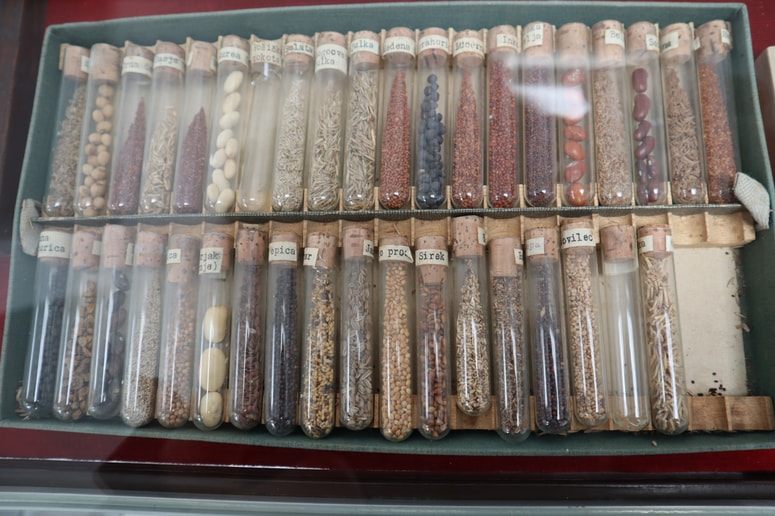 Glavna fotografija članka:Aktiviraj se: Izmenjevalnica semen na Mali tržnici