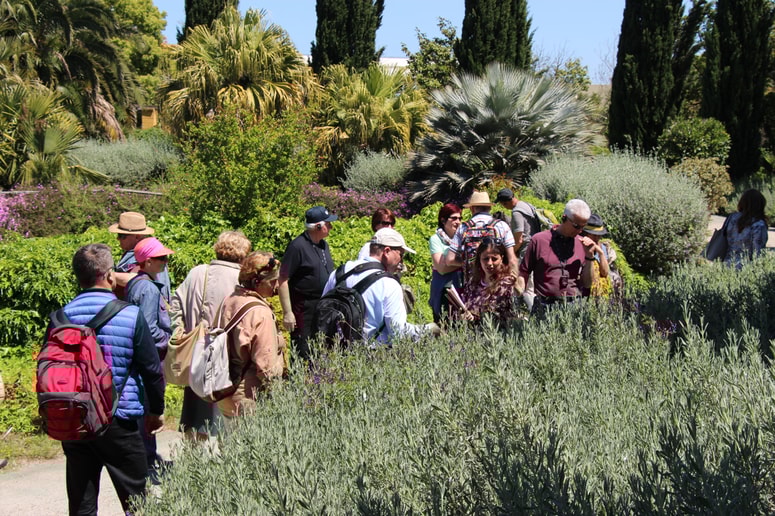 Glavna fotografija članka:Izleti in potovanja po vrtovih