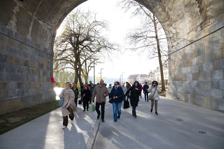 Po poteh užitnih dreves Maribora je popeljal Borut Ambrožič.