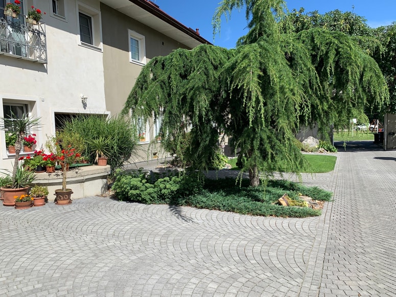 Glavna fotografija članka:Tlakovci in plošče, s katerimi ustvarite oazo za sproščanje

 