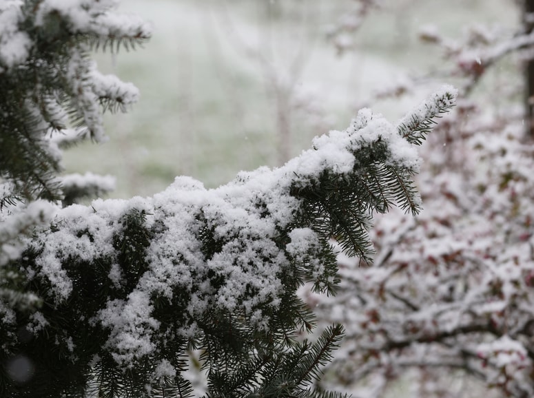 Fotografija je ilustrativna. 