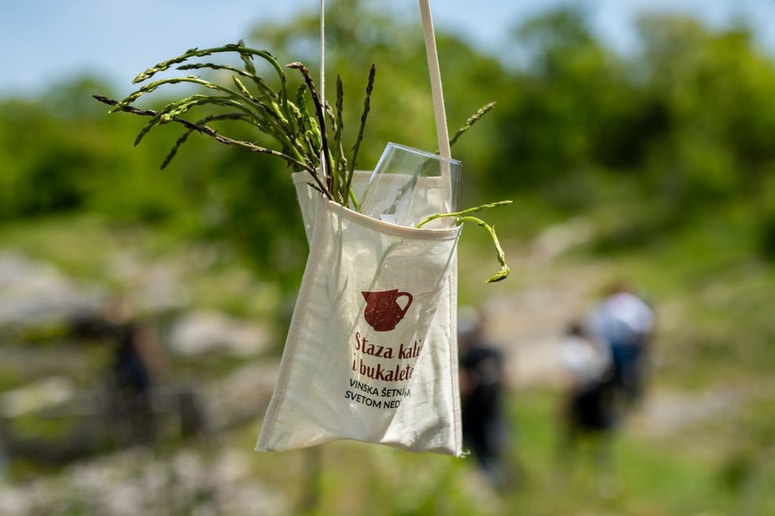 Glavna fotografija članka:Pomlad v vzhodni Istri diši po vinu, špargljih in dobri družbi