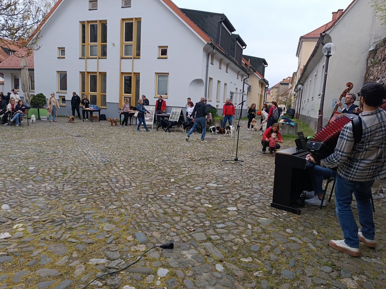 Koncert za kužke v sklopu Janus festivala v Celju