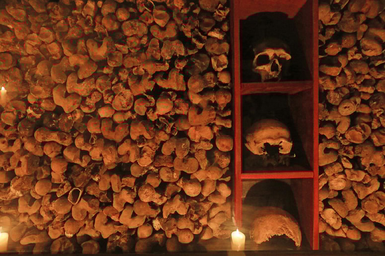 Glavna fotografija članka:(REKLI SO) Ranka Ivelja: Kostnica le ni garaža, kajne