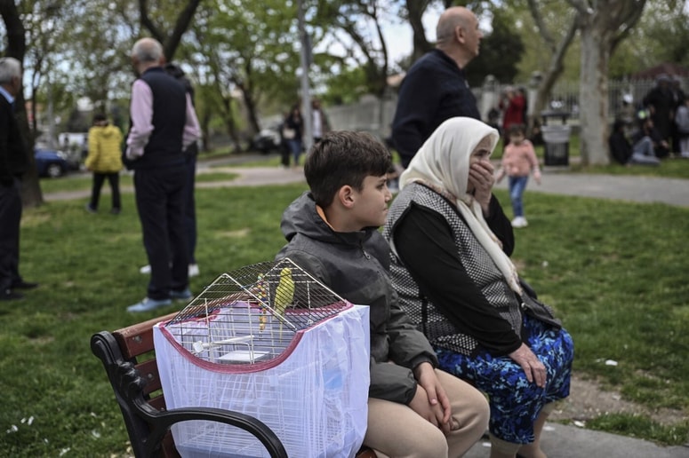 Glavna fotografija članka:V Istanbulu ljudje v strahu zaradi potresa skakali z višine