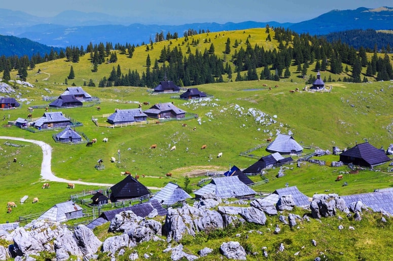 Poceni alternativa so planinske koče, ki jih upravljajo planinska društva in delujejo pod okriljem Planinske zveze Slovenije.
