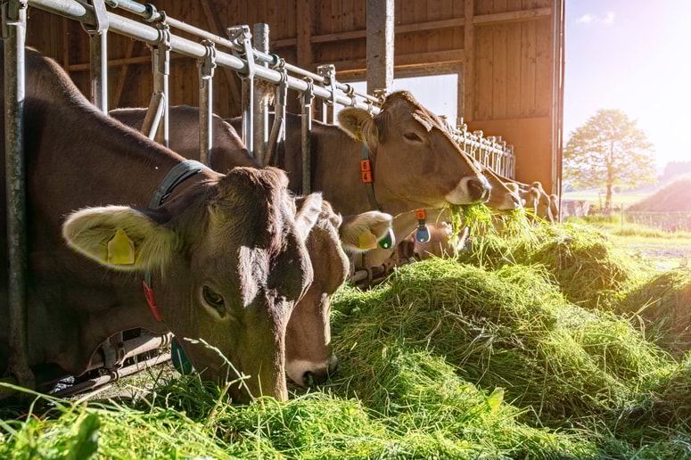 Fotografija je ilustrativna.