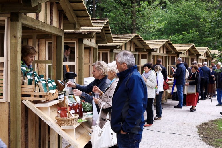 Glavna fotografija članka:Zaradi vetroloma v soboto zaprta Pohorska tržnica, zaprt je že botanični vrt