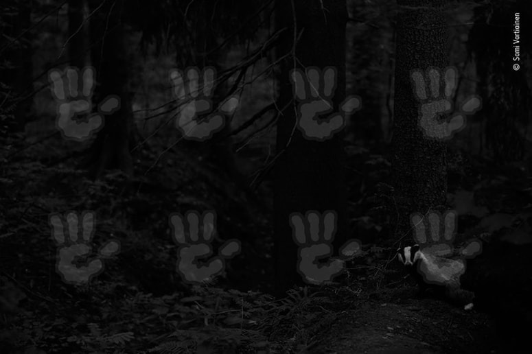 Glavna fotografija članka:(REKLI SO) Miš, riba, človek