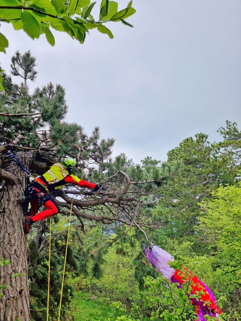 Glavna fotografija članka:S padalom zasilno pristal na drevesu