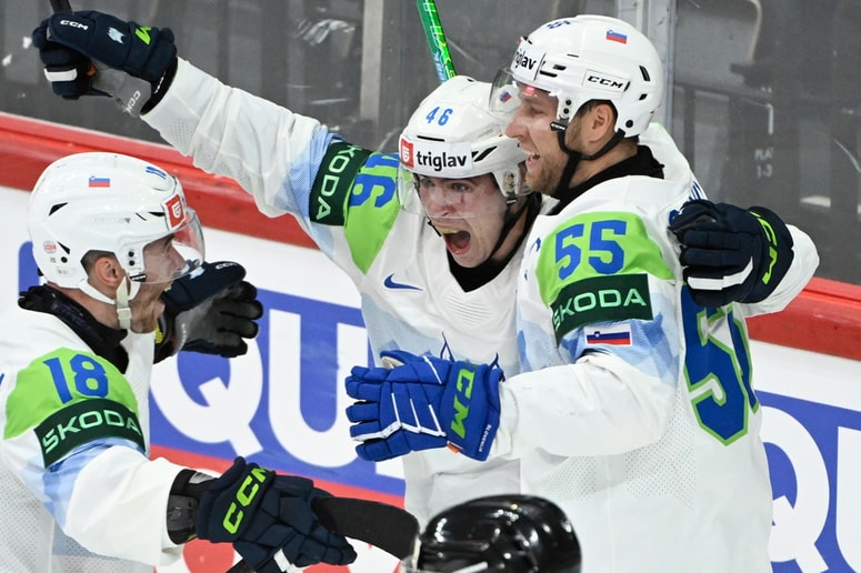 Zadnji lanski gol risov na SP, gol Matica Töröka za 3:1 proti Franciji, je potrdil obstanek Slovenije v eliti. 