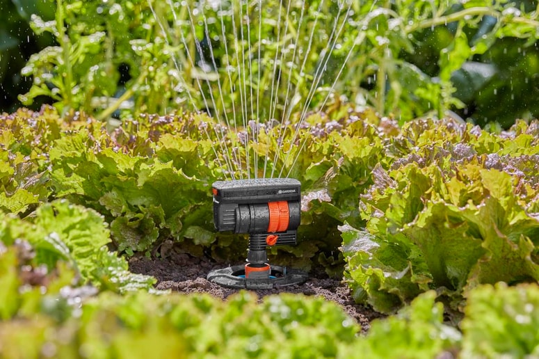 Glavna fotografija članka:Kako si sami uredite enostaven namakalni sistem?