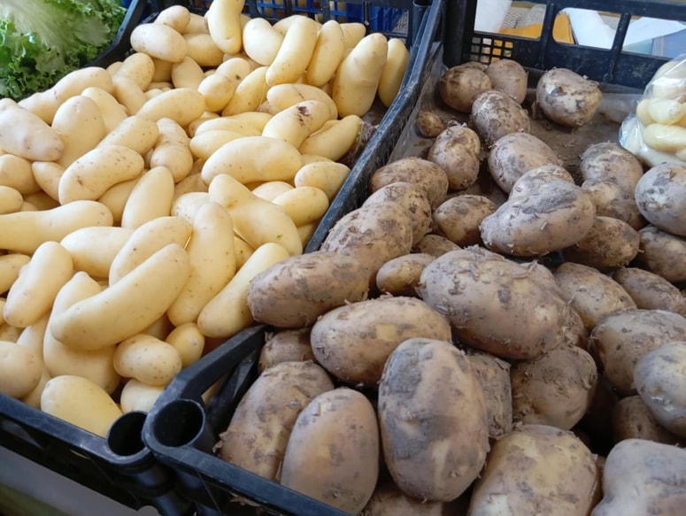 Glavna fotografija članka:Večina pri nakupu krompirja dela veliko napako