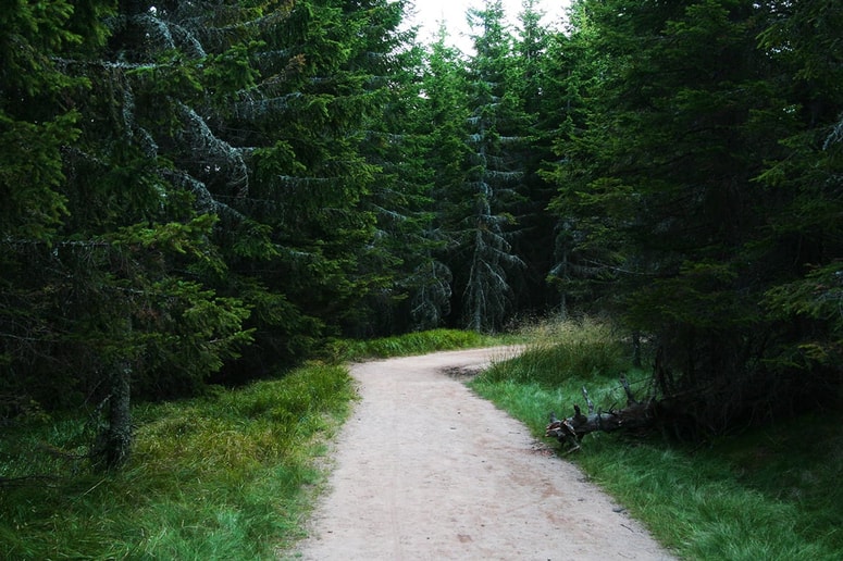 Fotografija je simbolična.