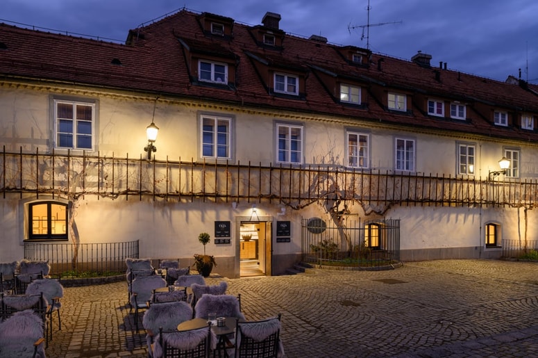 "Najstarejša trta v Mariboru ostaja najstarejša žlahtna vinska trta na svetu, ki še vedno obrodi sadove."