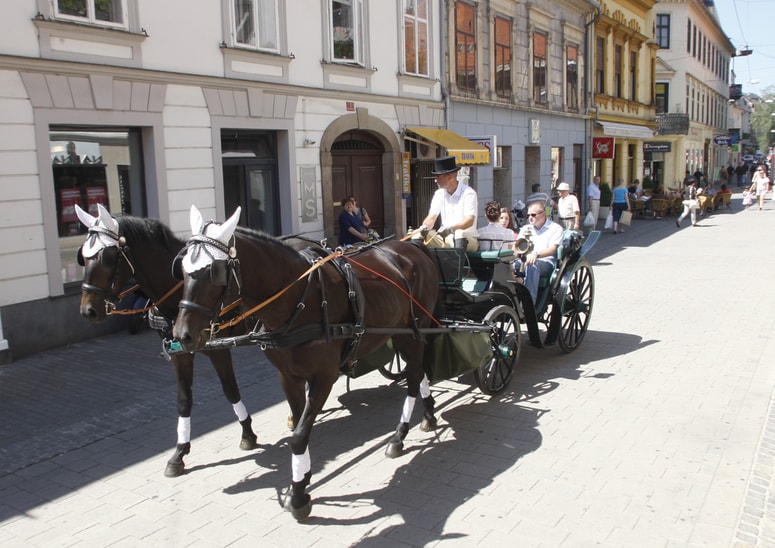 Prevozi s kočijo. Danes turistična atrakcija, nekoč osrednji javni promet 