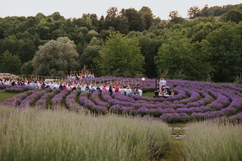 "Sivka ni tam za prosto nabiranje, kakor verjetno ne vaš paradajz na vašem vrtu," pravi lastnik posestva. 