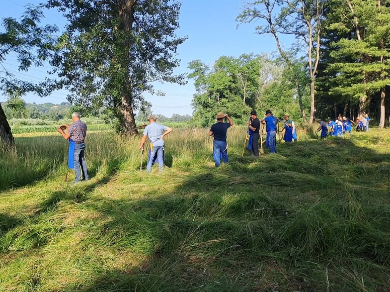 Fotografija je simbolična. Danes v nekaterih društvih ohranjajo tradicijo s prikazi starega načina košnje. 