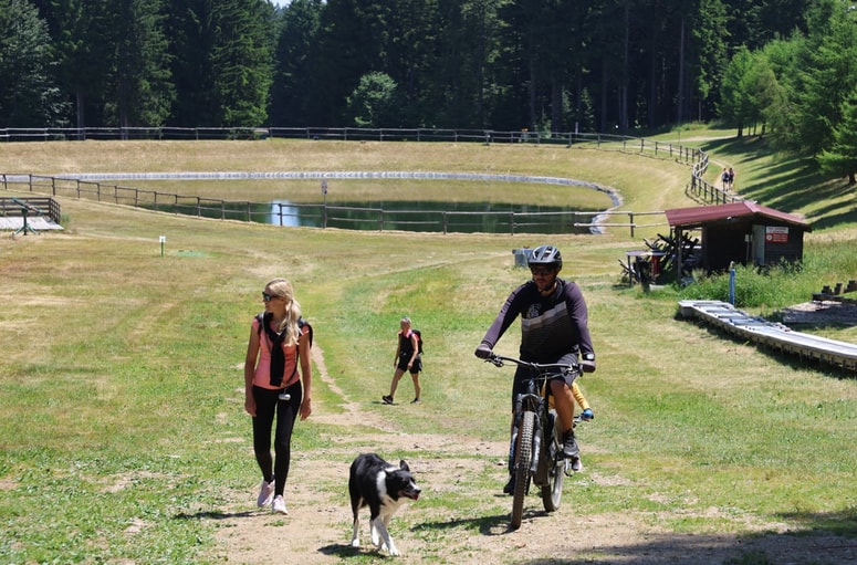 Glavna fotografija članka:Prvi Pohorski dan športa bo povezal šport, rekreacijo in druženje na Arehu