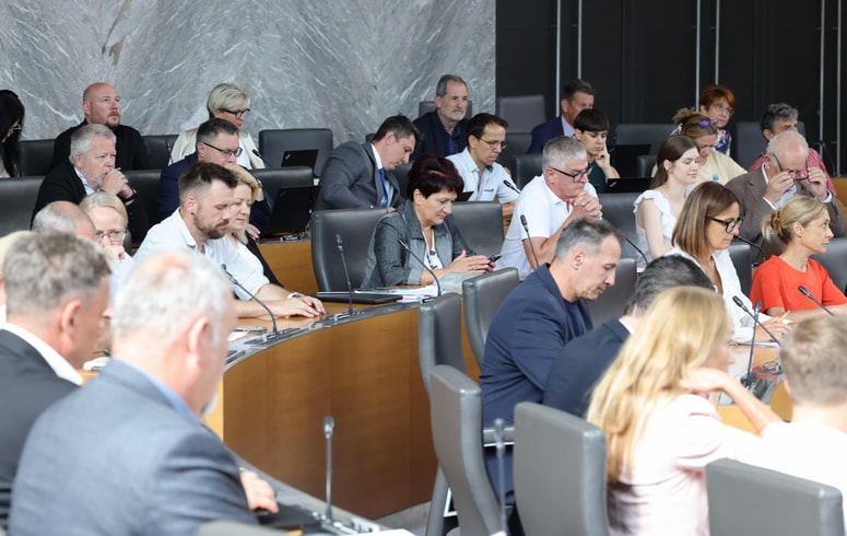 Glavna fotografija članka:Poslanci še niso dokončno odločili o predlogu zakona o pomoči pri prostovoljnem končanju življenja