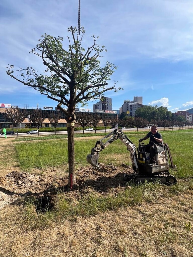 Prenova bo mestnemu središču dala svežo podobo in še več privlačnosti za obiskovalce in domačine. 