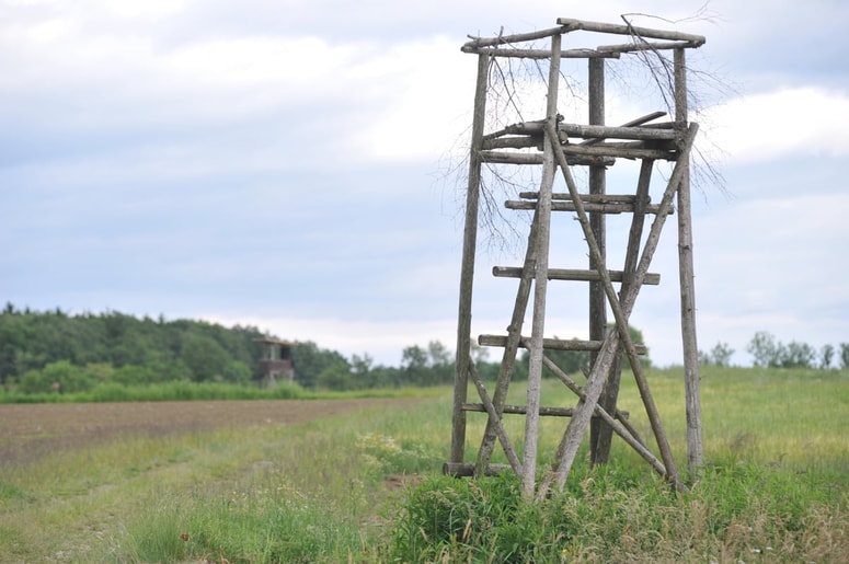 Glavna fotografija članka:(PISMO BRALCA) Ustanova za ohranjanje naravne in kulturne dediščine slovenskega lovstva