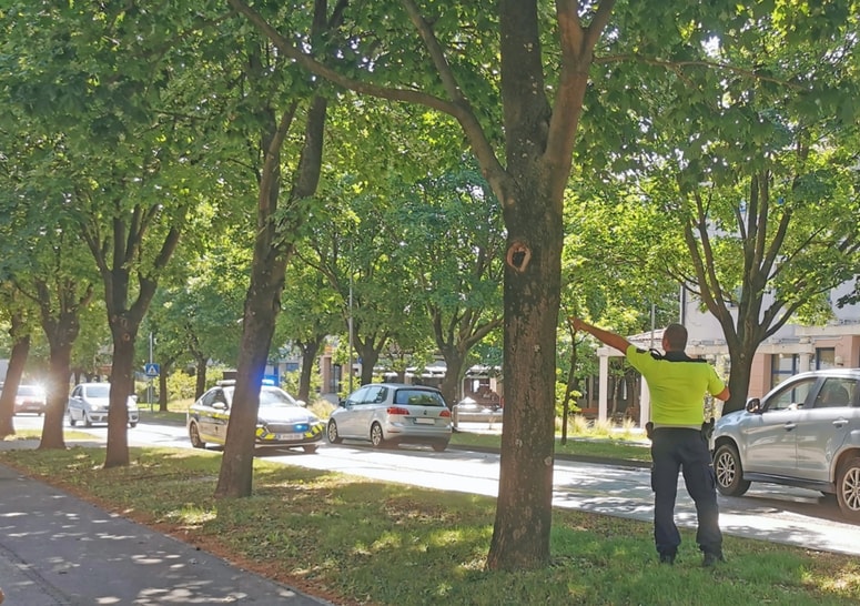 Na Goriški cesti v Ajdovščini je umrla 47-letna peška iz okolice Nove Gorice. 