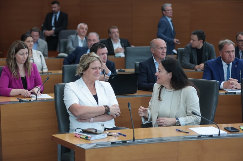 Poslanci SDS v državnem zboru.