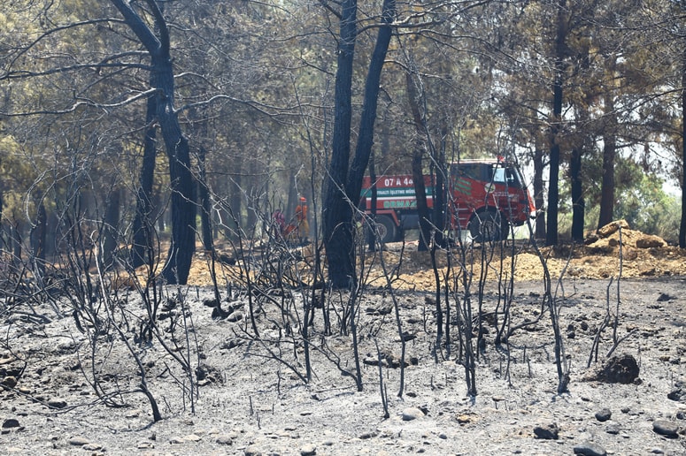 Glavna fotografija članka:V Turčiji izmerili temperaturni rekord, aktivna najmanj dva večja gozdna požara