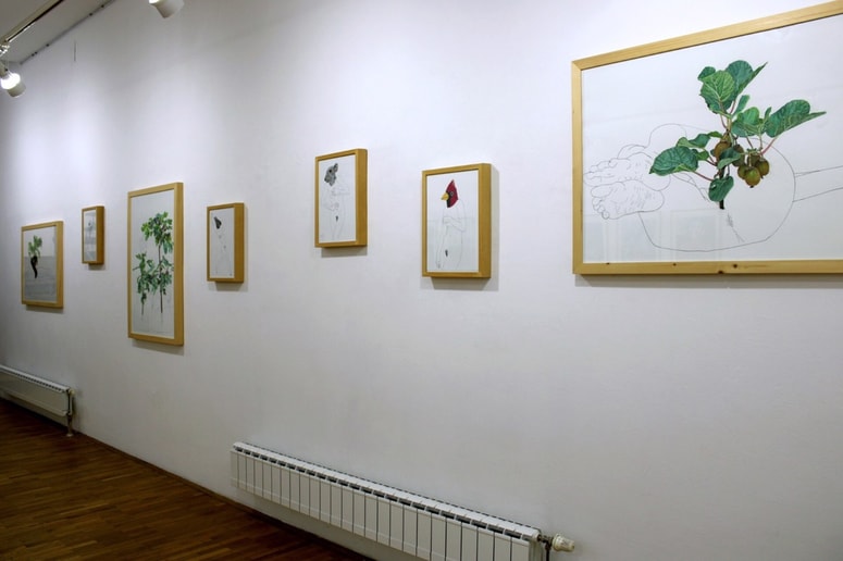 Olja Grubić: Sobivanje 2014-2023, postavitev v Galeriji DLUM 