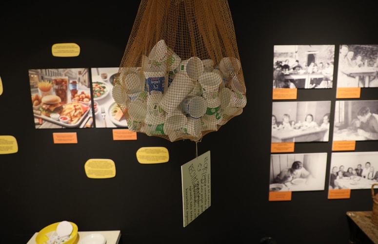 Pred sto leti je bil v gospodinjstvu en vrč za izdelavo kislega mleka in ostalega, danes porabimo ogromno plastike, da imamo vse to. 