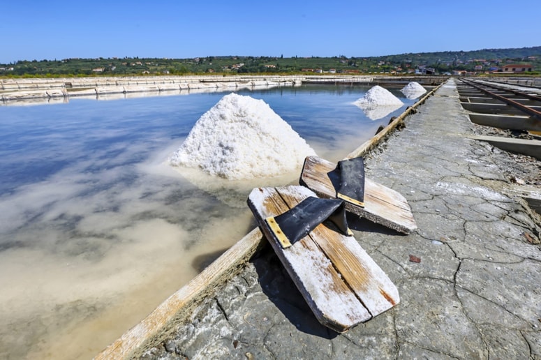 Čeprav je muhasto vreme zmanjšalo pridelek, je število obiskovalcev v juliju v Sečoveljskih solinah naraslo