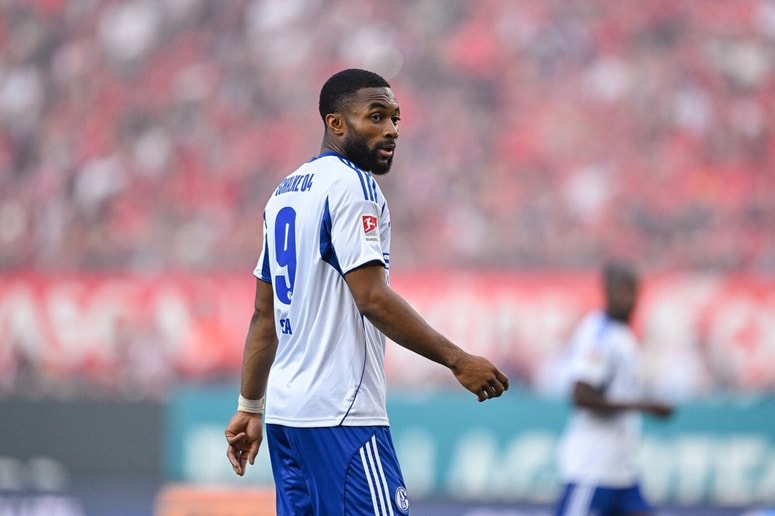 Glavna fotografija članka:Po dopustu se ni vrnil: Zvezdnik v varstvo pripeljal psa, nato pa sporočil, da ga ne potrebuje več